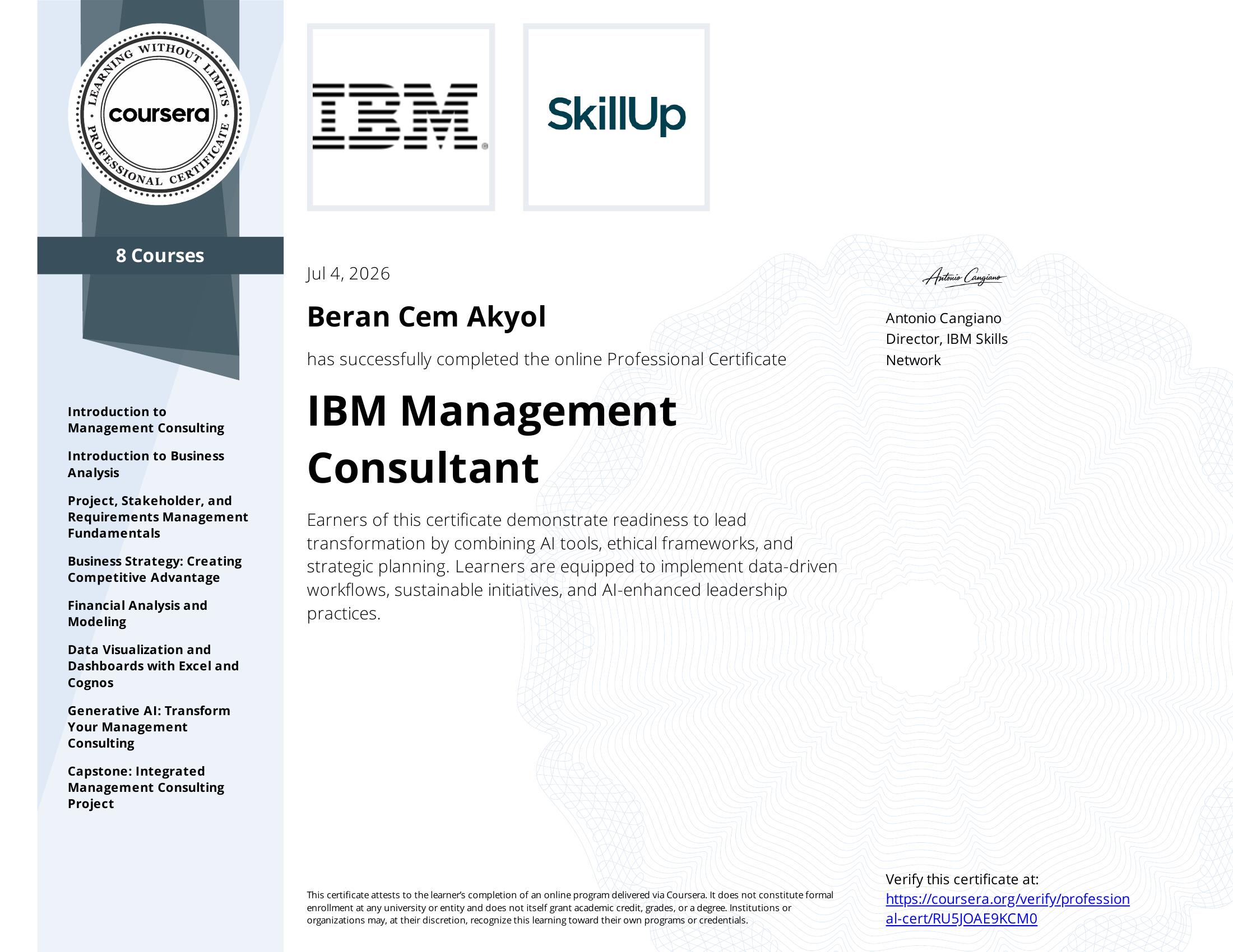 IBM Management Consultant Professional Certificate